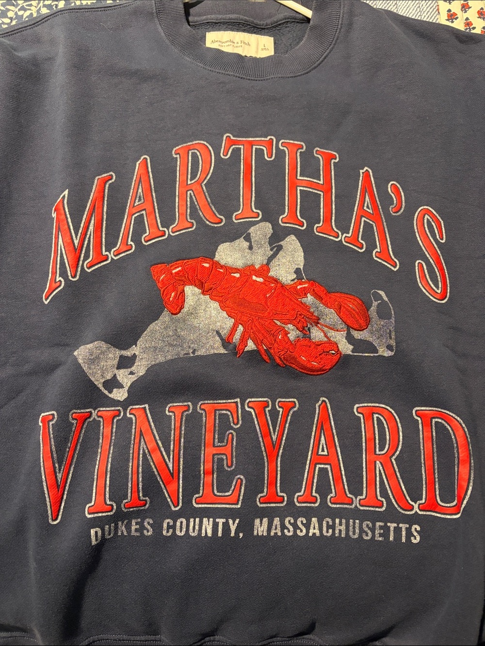 Abercrombie & Fitch Navy Martha’s Vineyard Crewneck Sweatshirt with Red Graphic - Picture 7 of 7